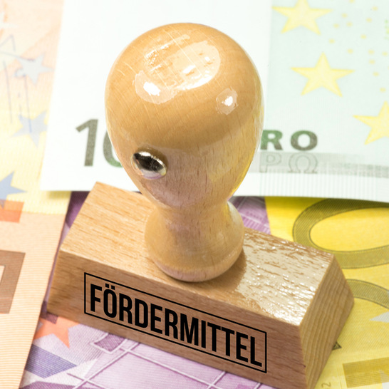 BAFA-Energieberatung